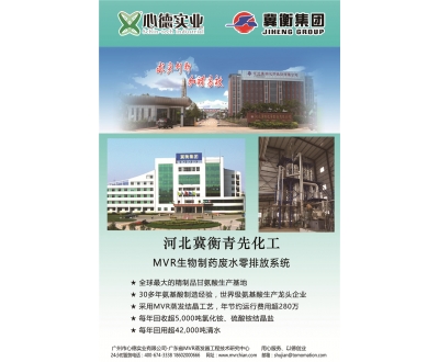 河北翼衡青先化工有限公司